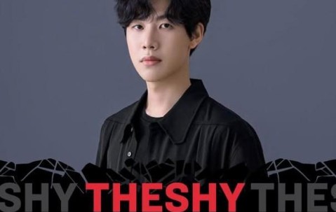 开云-关于TheShy回归赛场，战术调整首场状态亮眼，加拿大队观众沸腾！的信息